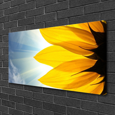 Quadro em tela Planta de pétalas