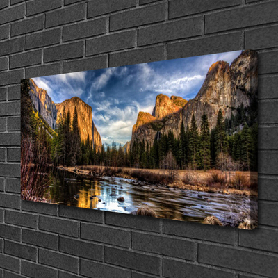 Quadro canvas Montanha Floresta Lago Natureza