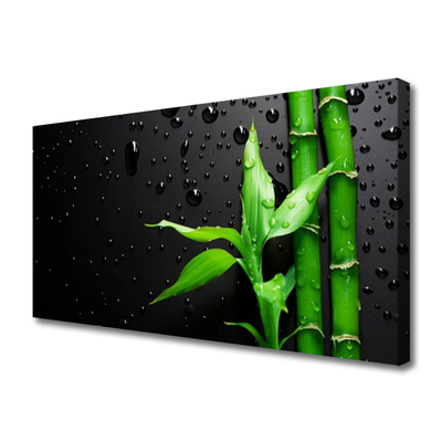 Quadro em tela Planta de folhas de bambu