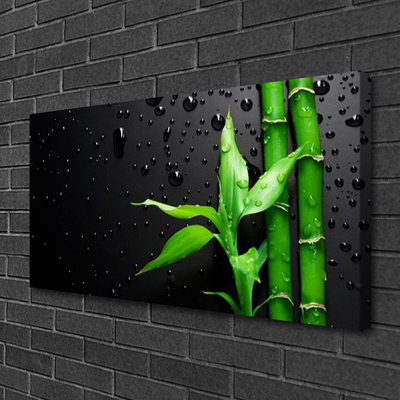 Quadro em tela Planta de folhas de bambu