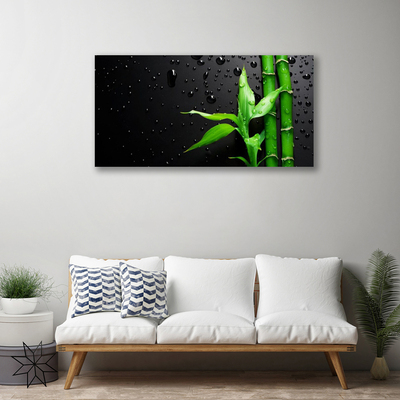 Quadro em tela Planta de folhas de bambu
