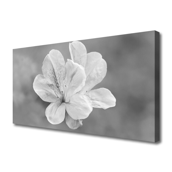 Quadro canvas Planta de flores