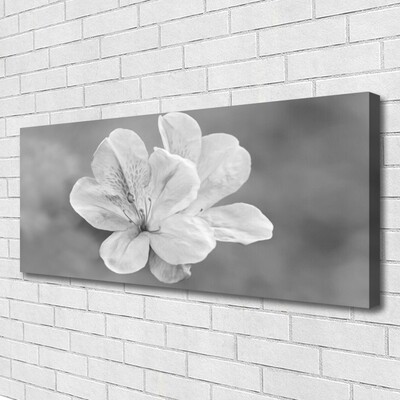 Quadro canvas Planta de flores