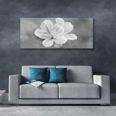 Quadro canvas Planta de flores