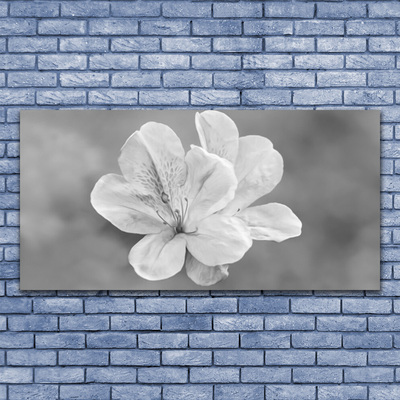 Quadro canvas Planta de flores