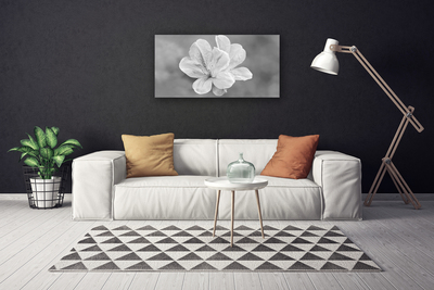 Quadro canvas Planta de flores