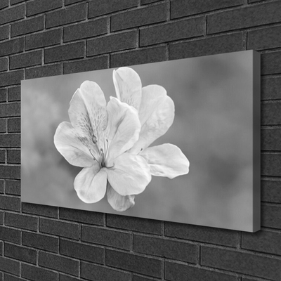 Quadro canvas Planta de flores