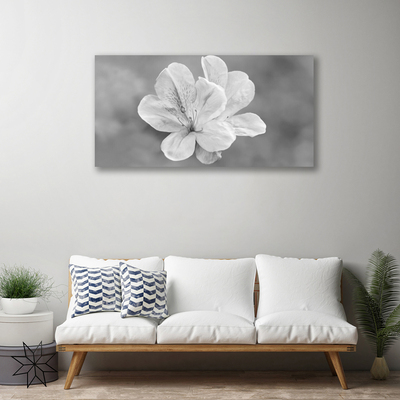 Quadro canvas Planta de flores