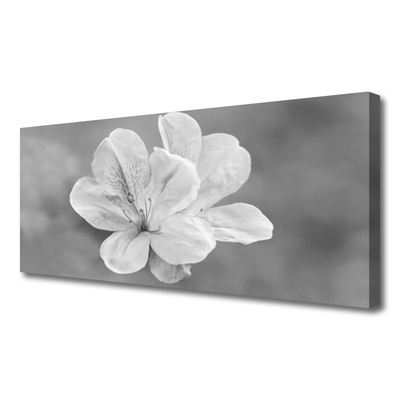 Quadro canvas Planta de flores