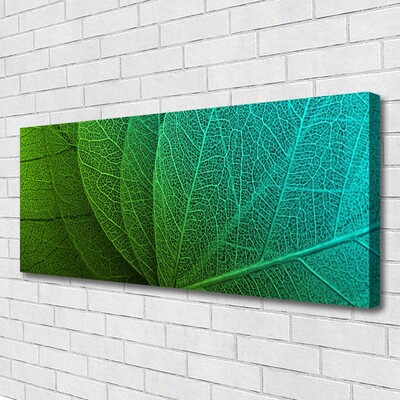 Quadro em tela Folhas abstratas de plantas