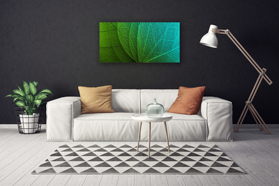 Quadro em tela Folhas abstratas de plantas