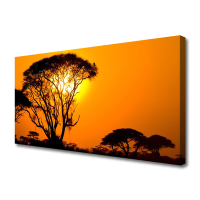 Quadro em tela Árvores Sol Natureza