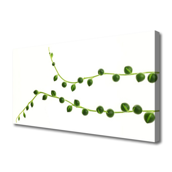 Quadro canvas Planta ornamental