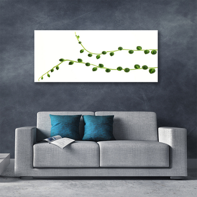 Quadro canvas Planta ornamental