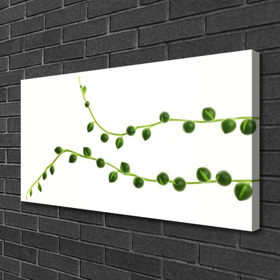 Quadro canvas Planta ornamental