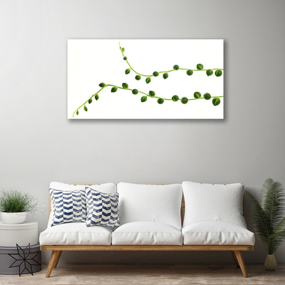 Quadro canvas Planta ornamental