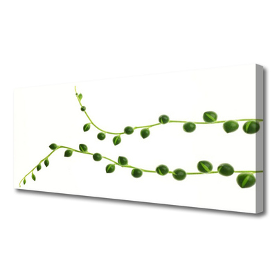 Quadro canvas Planta ornamental