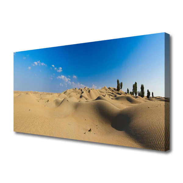 Quadro canvas Paisagem desértica de areia