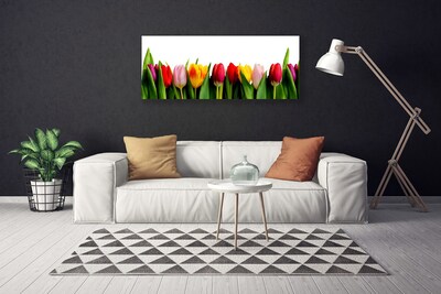 Quadro canvas Planta de tulipas