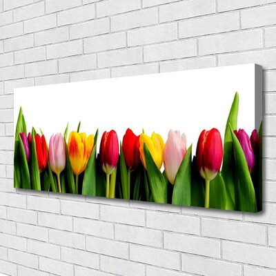 Quadro canvas Planta de tulipas