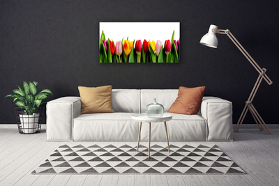 Quadro canvas Planta de tulipas