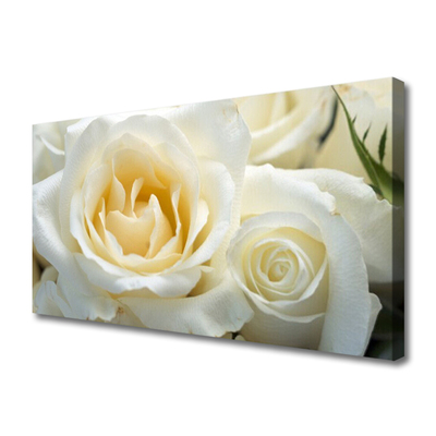 Quadro em tela Flores de rosas