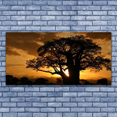 Quadro em tela Natureza da Árvore