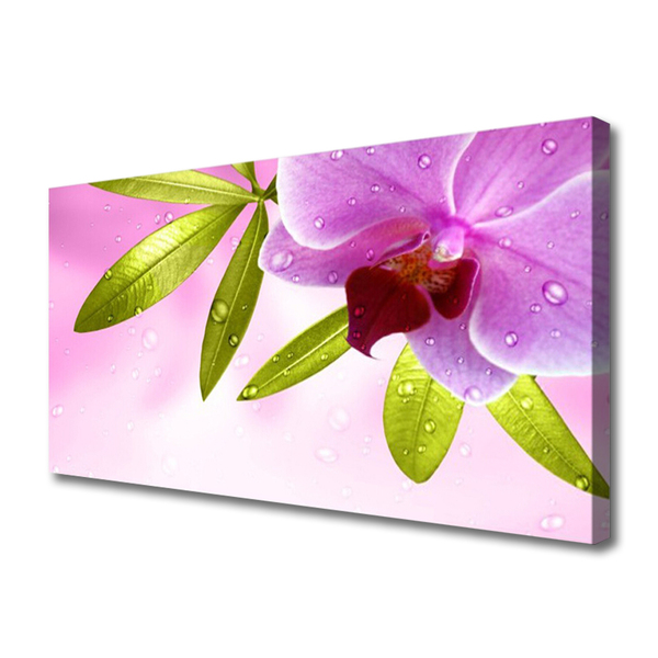 Quadro canvas Flor Folhas Planta