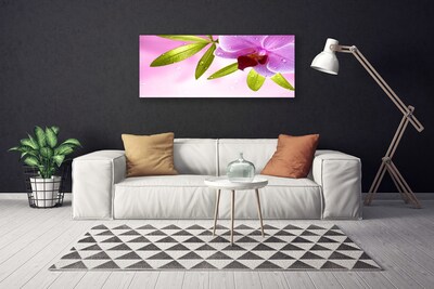 Quadro canvas Flor Folhas Planta