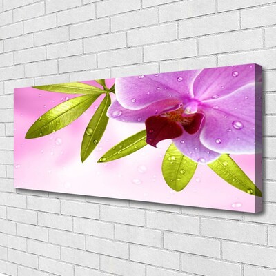 Quadro canvas Flor Folhas Planta