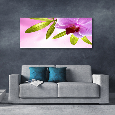 Quadro canvas Flor Folhas Planta