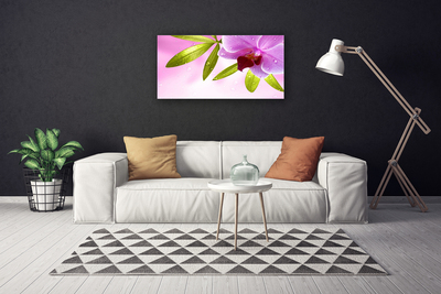 Quadro canvas Flor Folhas Planta