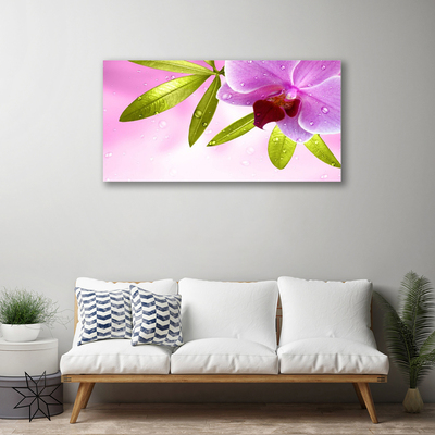 Quadro canvas Flor Folhas Planta