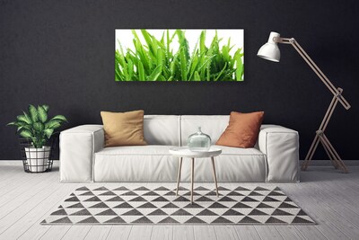 Quadro canvas Planta de grama