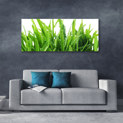 Quadro canvas Planta de grama
