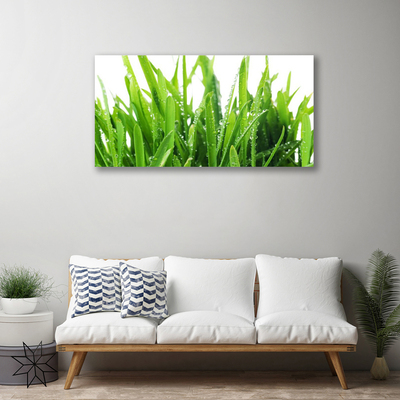 Quadro canvas Planta de grama