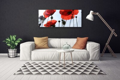 Quadro em tela Planta de papoulas