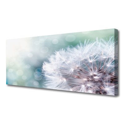 Quadro em tela Planta dente-de-leão