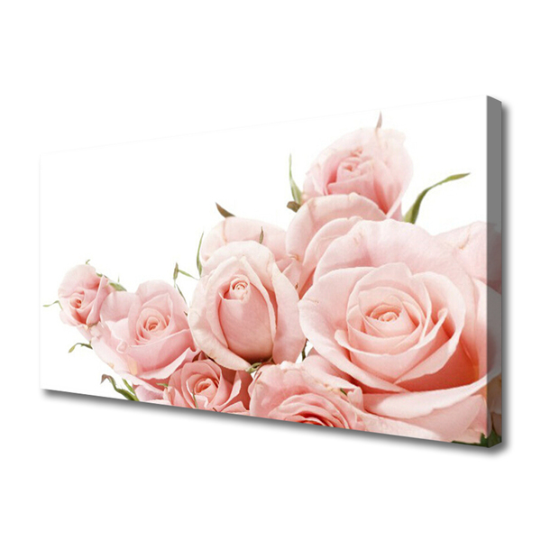 Quadro em tela Planta de flores rosas