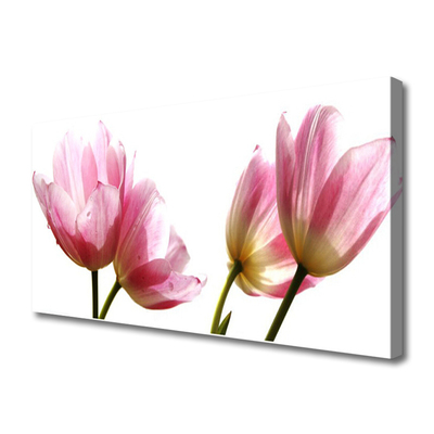 Quadro canvas Planta de flores