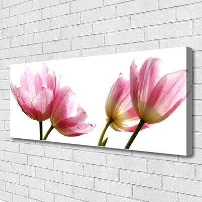 Quadro canvas Planta de flores