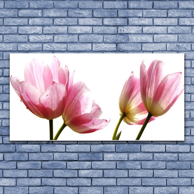 Quadro canvas Planta de flores