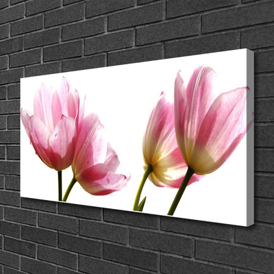 Quadro canvas Planta de flores