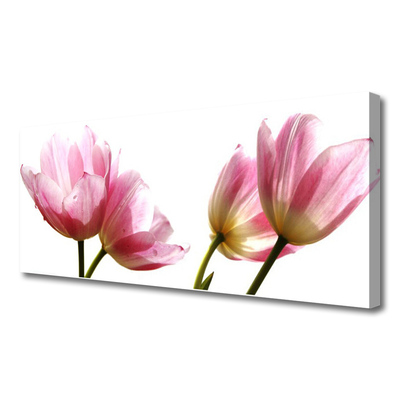 Quadro canvas Planta de flores