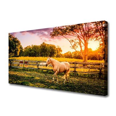 Quadro em tela Cavalo Prado Animais Natureza