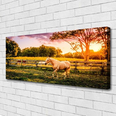 Quadro em tela Cavalo Prado Animais Natureza