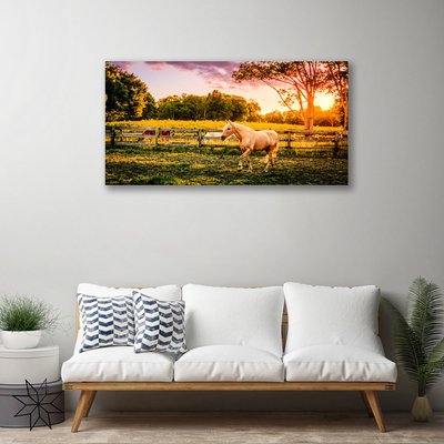 Quadro em tela Cavalo Prado Animais Natureza