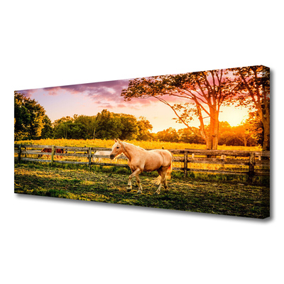 Quadro em tela Cavalo Prado Animais Natureza