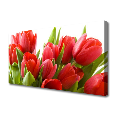 Quadro canvas Tulipas Flores Planta