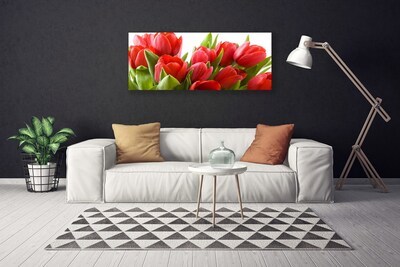 Quadro canvas Tulipas Flores Planta